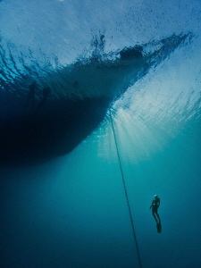 Free diver ascending on the anchor chain of Silolona by Paul Colley 